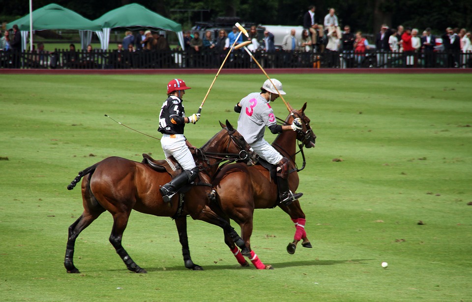 Sotogrande Polo