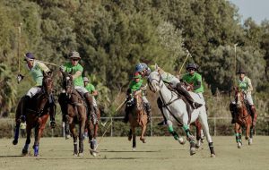 Polo in Sotogrande